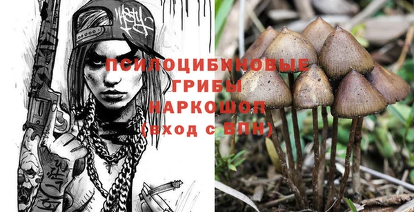 mdpv Балахна