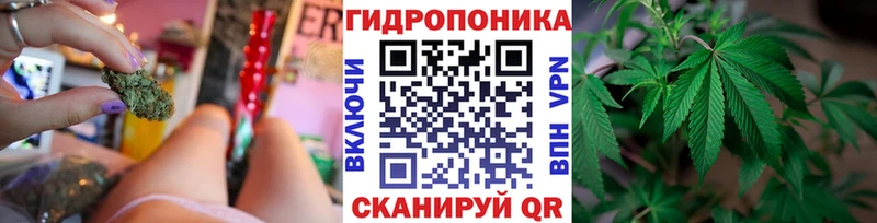 ОМГ ОМГ как войти  Усть-Лабинск  Конопля сатива 